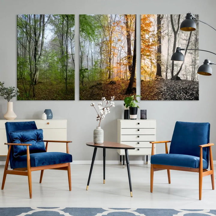 Four Season Forest Wall Art Framed Canvas Giclee Print