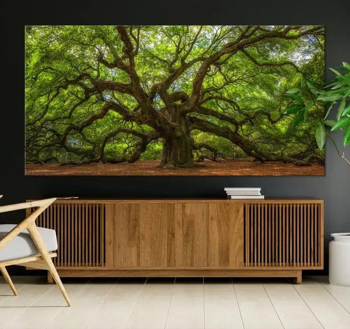 Large Angel Oak Tree Wall Art Canvas Print