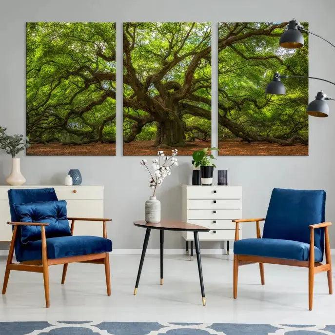 Large Angel Oak Tree Wall Art Canvas Print