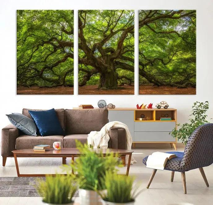 Large Angel Oak Tree Wall Art Canvas Print