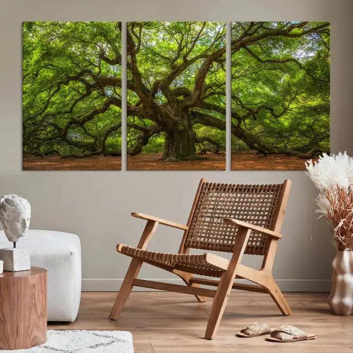 Large Angel Oak Tree Wall Art Canvas Print