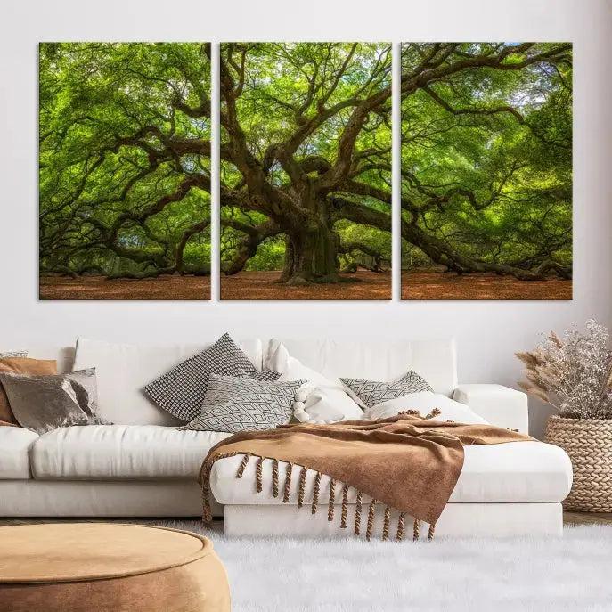 Large Angel Oak Tree Wall Art Canvas Print