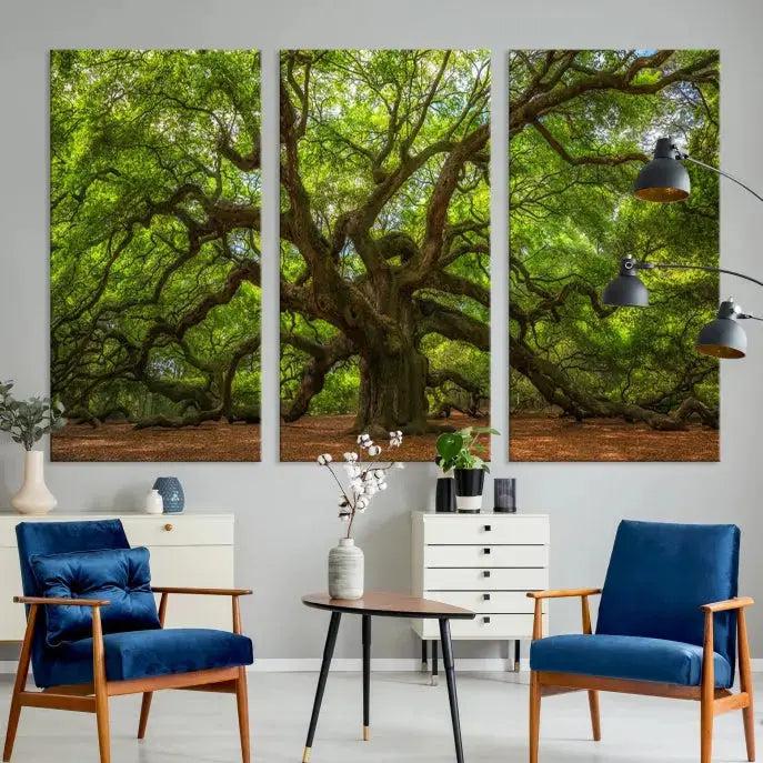 Large Angel Oak Tree Wall Art Canvas Print