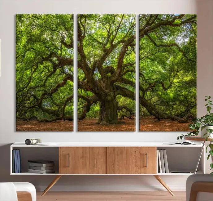 Large Angel Oak Tree Wall Art Canvas Print