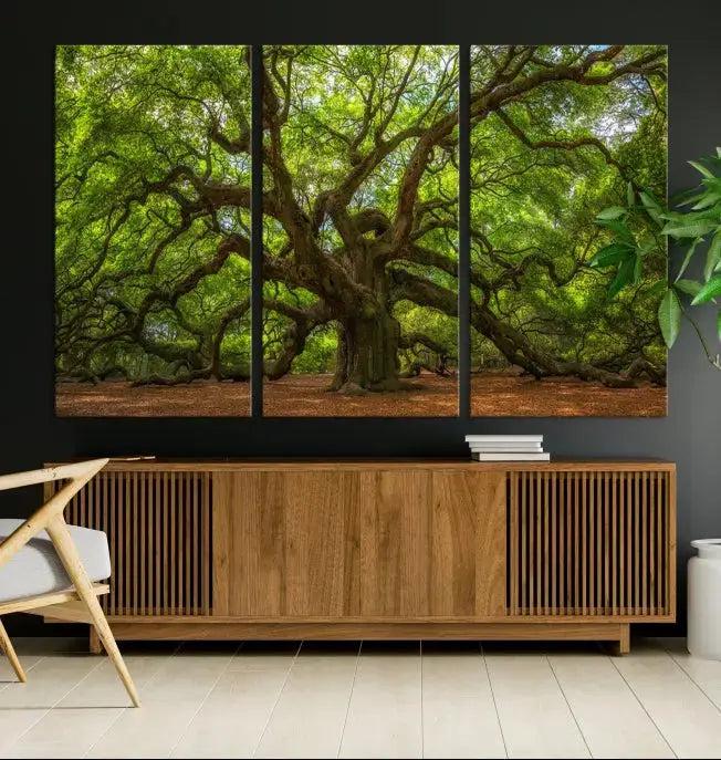 Large Angel Oak Tree Wall Art Canvas Print