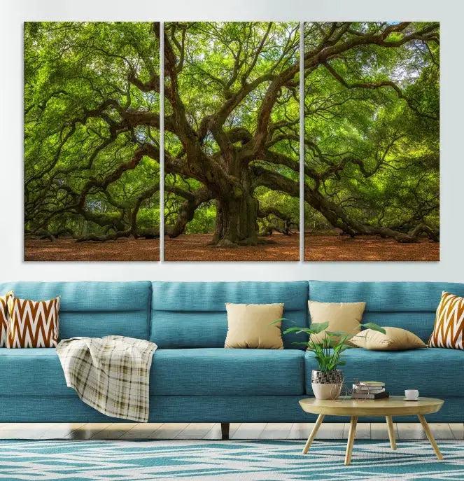 Large Angel Oak Tree Wall Art Canvas Print