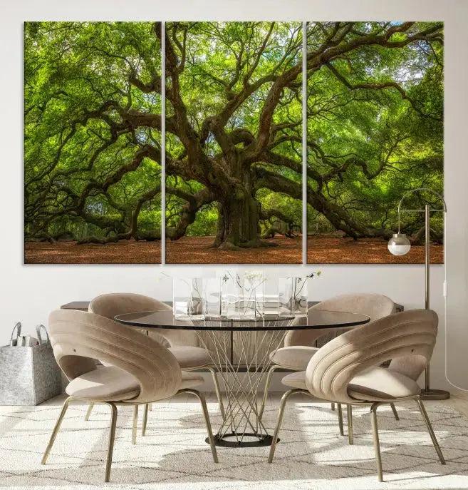 Large Angel Oak Tree Wall Art Canvas Print