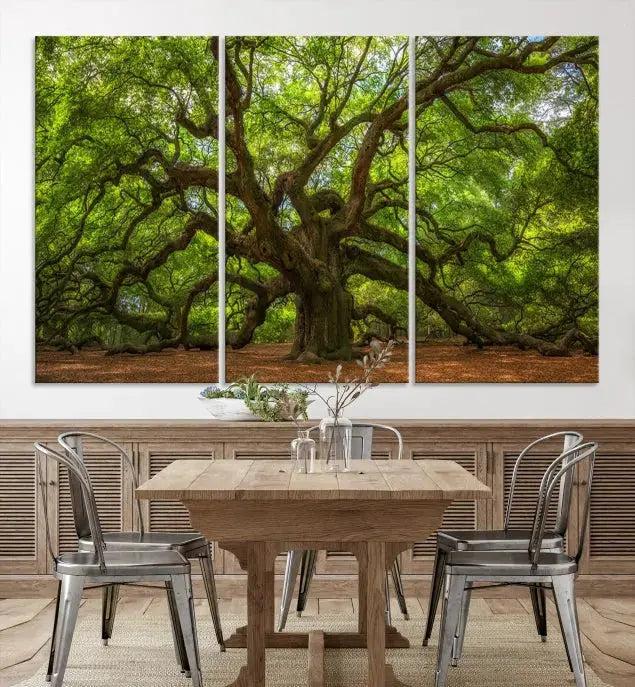 Large Angel Oak Tree Wall Art Canvas Print