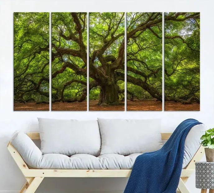 Large Angel Oak Tree Wall Art Canvas Print