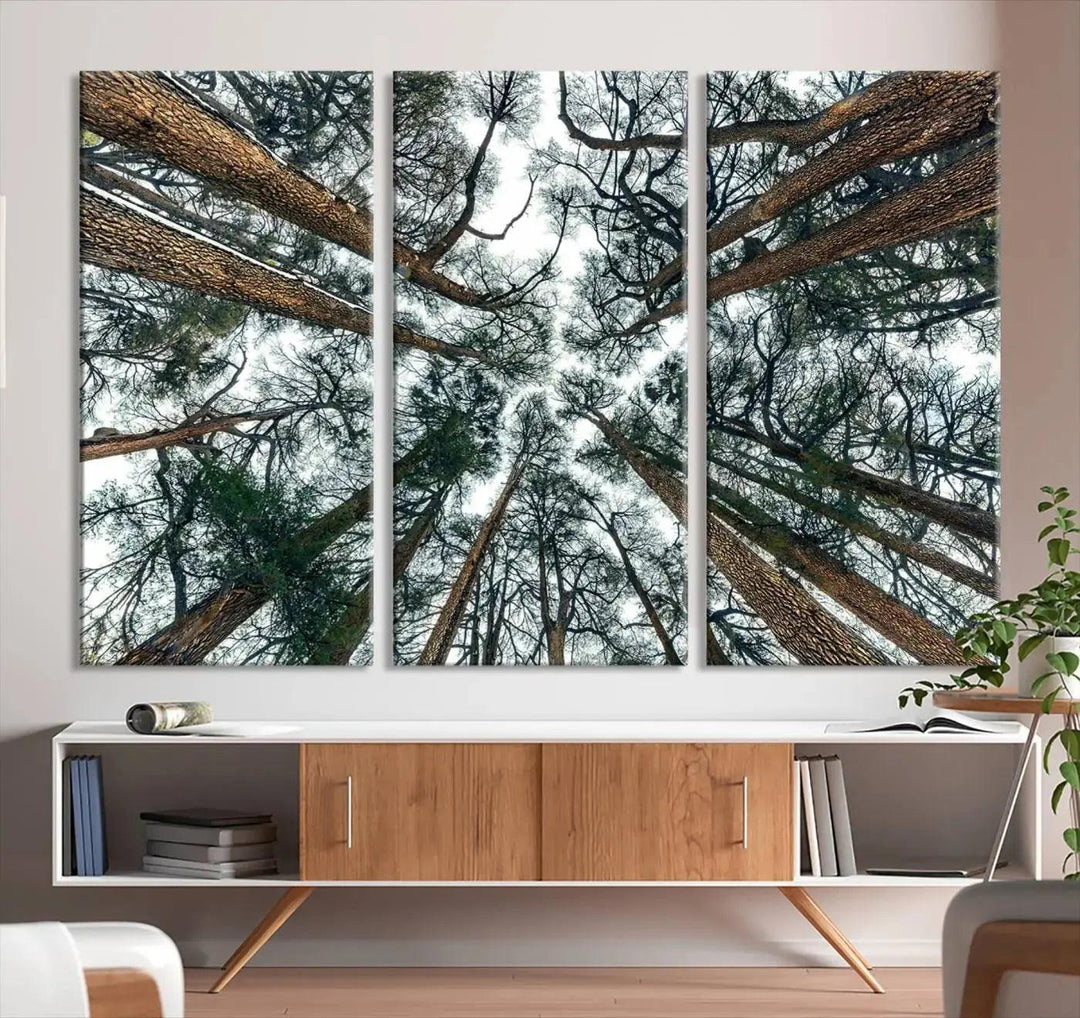 Large Big Tree and Forest Large Wall Art Canvas Print