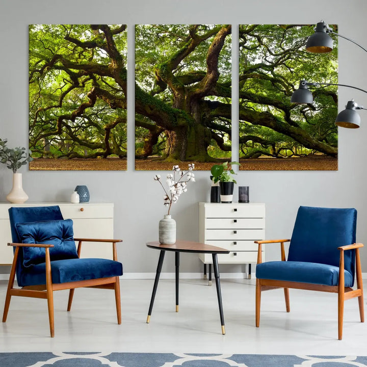 Large Mighty Angel Oak Wall Art | Angel Oak Tree Art Print | Large Canvas Print | Framed Canvas | Extra Large Wall Art |