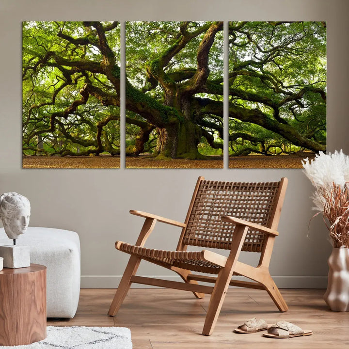 Large Mighty Angel Oak Wall Art | Angel Oak Tree Art Print | Large Canvas Print | Framed Canvas | Extra Large Wall Art |