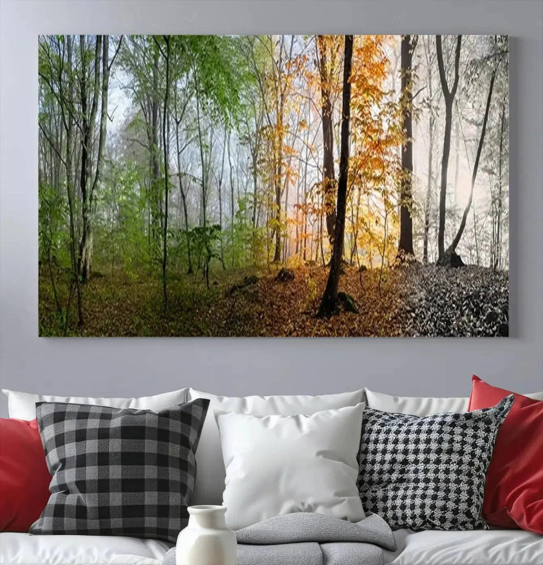 Large Wall Art Landscape Canvas PrintPanoramic View of Season Forest