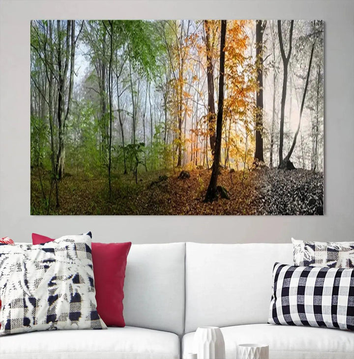 Large Wall Art Landscape Canvas PrintPanoramic View of Season Forest