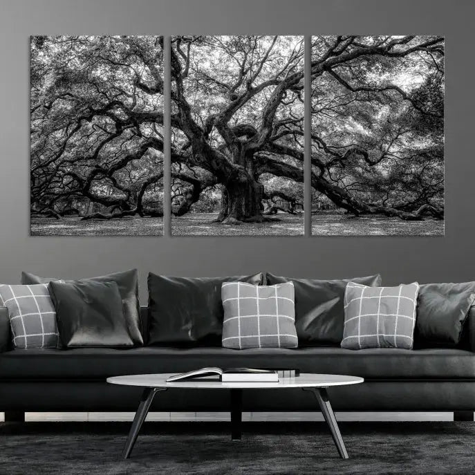 Old Angel Oak Tree Black and White Nature Wall Art Canvas Print