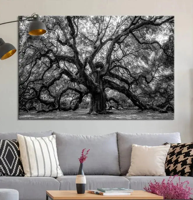 Old Angel Oak Tree Black and White Nature Wall Art Canvas Print