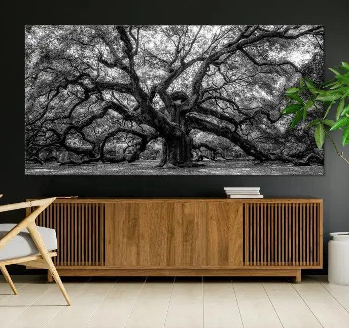 Old Angel Oak Tree Black and White Nature Wall Art Canvas Print