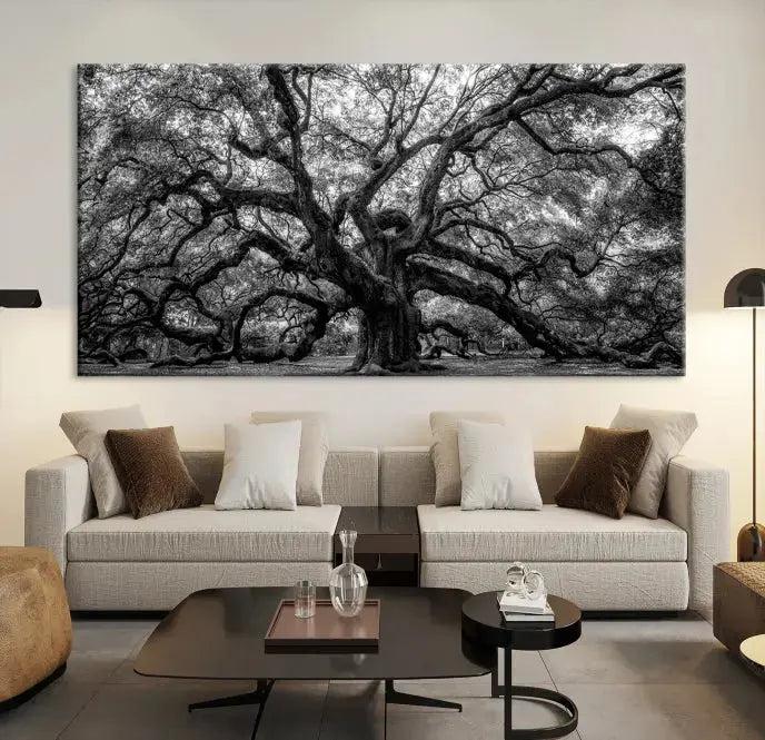 Old Angel Oak Tree Black and White Nature Wall Art Canvas Print