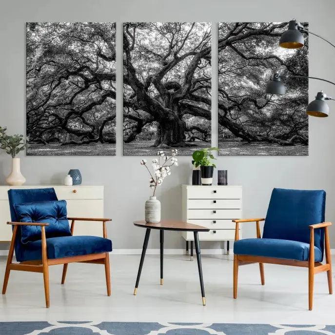 Old Angel Oak Tree Black and White Nature Wall Art Canvas Print