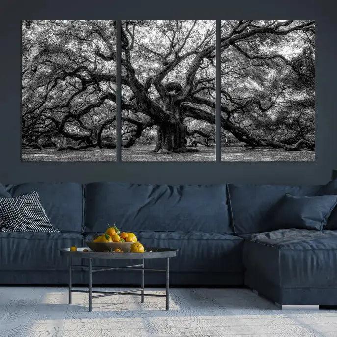 Old Angel Oak Tree Black and White Nature Wall Art Canvas Print