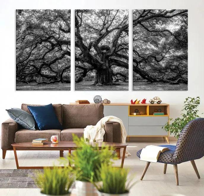 Old Angel Oak Tree Black and White Nature Wall Art Canvas Print