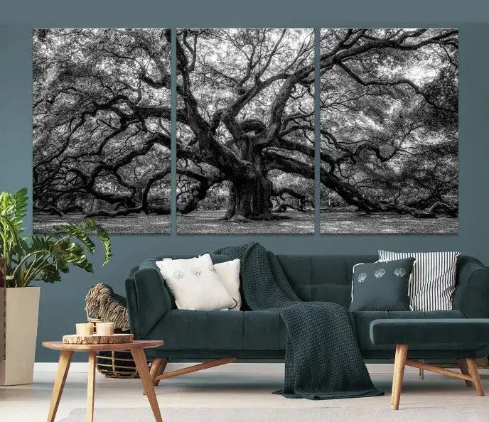 Old Angel Oak Tree Black and White Nature Wall Art Canvas Print