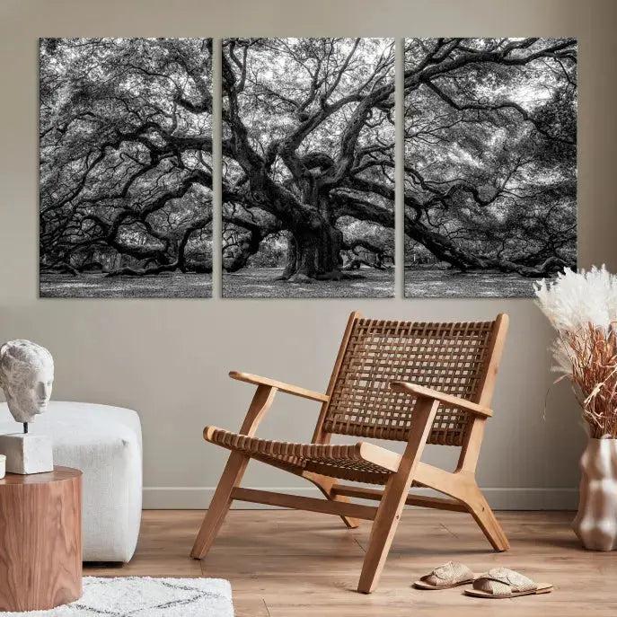 Old Angel Oak Tree Black and White Nature Wall Art Canvas Print