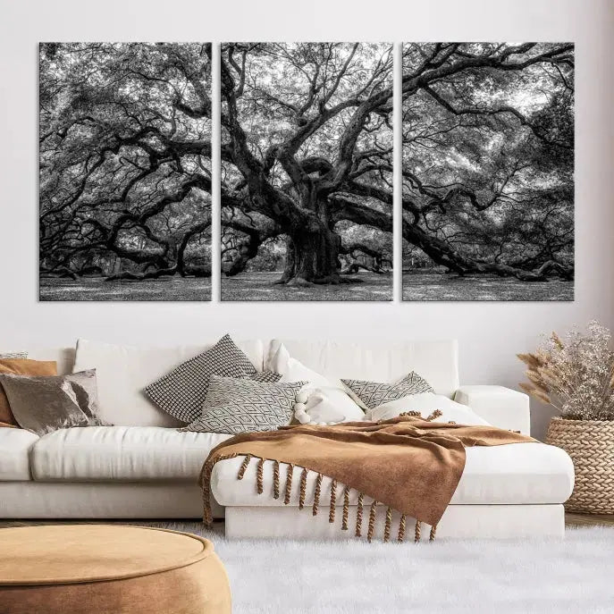 Old Angel Oak Tree Black and White Nature Wall Art Canvas Print