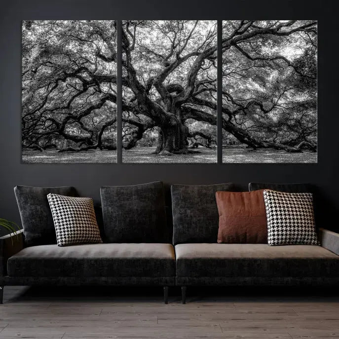 Old Angel Oak Tree Black and White Nature Wall Art Canvas Print