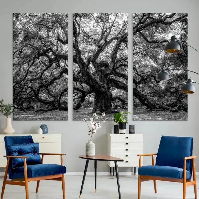 Old Angel Oak Tree Black and White Nature Wall Art Canvas Print