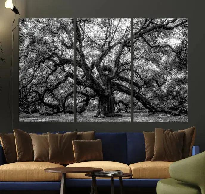 Old Angel Oak Tree Black and White Nature Wall Art Canvas Print