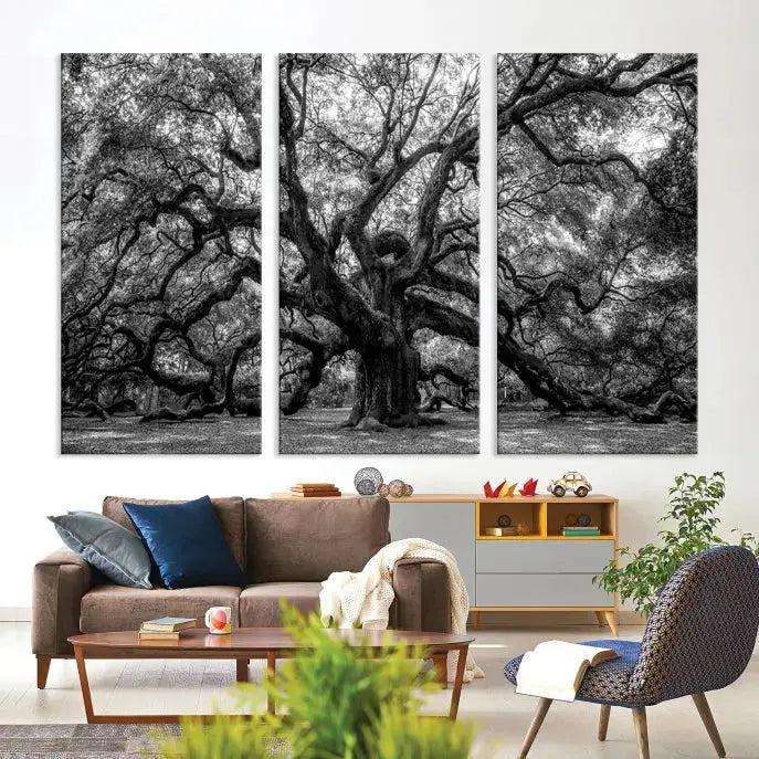 Old Angel Oak Tree Black and White Nature Wall Art Canvas Print