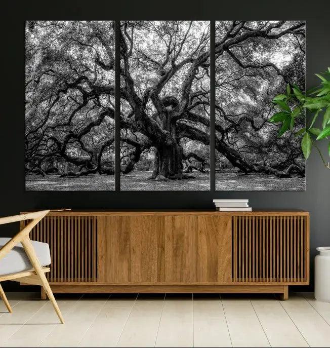 Old Angel Oak Tree Black and White Nature Wall Art Canvas Print