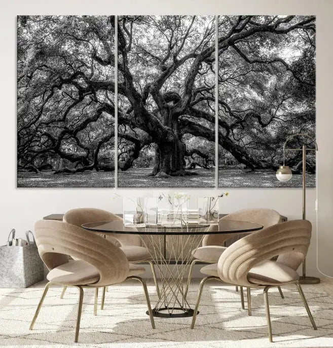 Old Angel Oak Tree Black and White Nature Wall Art Canvas Print