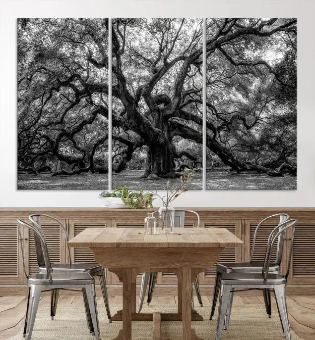 Old Angel Oak Tree Black and White Nature Wall Art Canvas Print