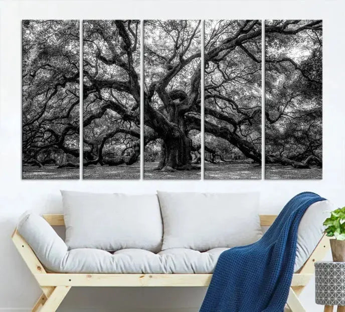 Old Angel Oak Tree Black and White Nature Wall Art Canvas Print