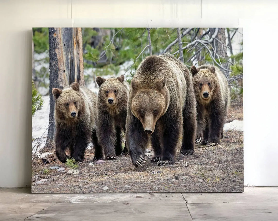 Queen of the Tetons, 399 Grizzly Bear Cubs Canvas Wall Art Print, Majestic Wildlife Photography Canvas Print of Grizzly 399 for Rustic Decor