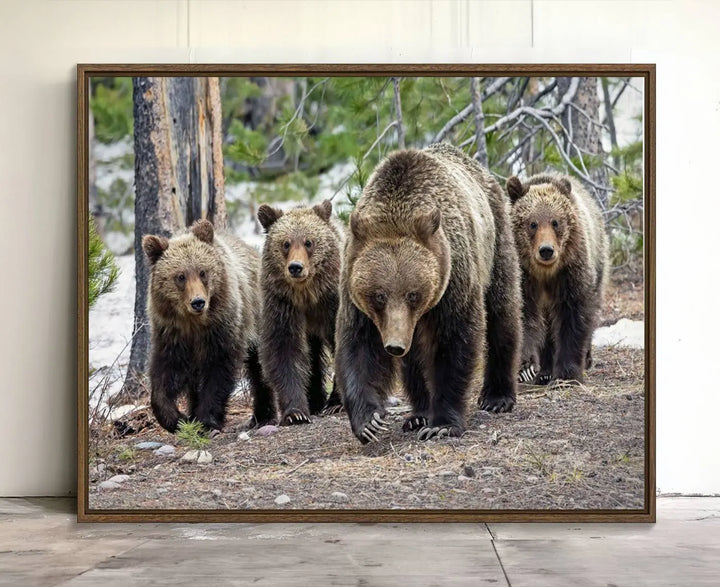 Queen of the Tetons, 399 Grizzly Bear Cubs Canvas Wall Art Print, Majestic Wildlife Photography Canvas Print of Grizzly 399 for Rustic Decor