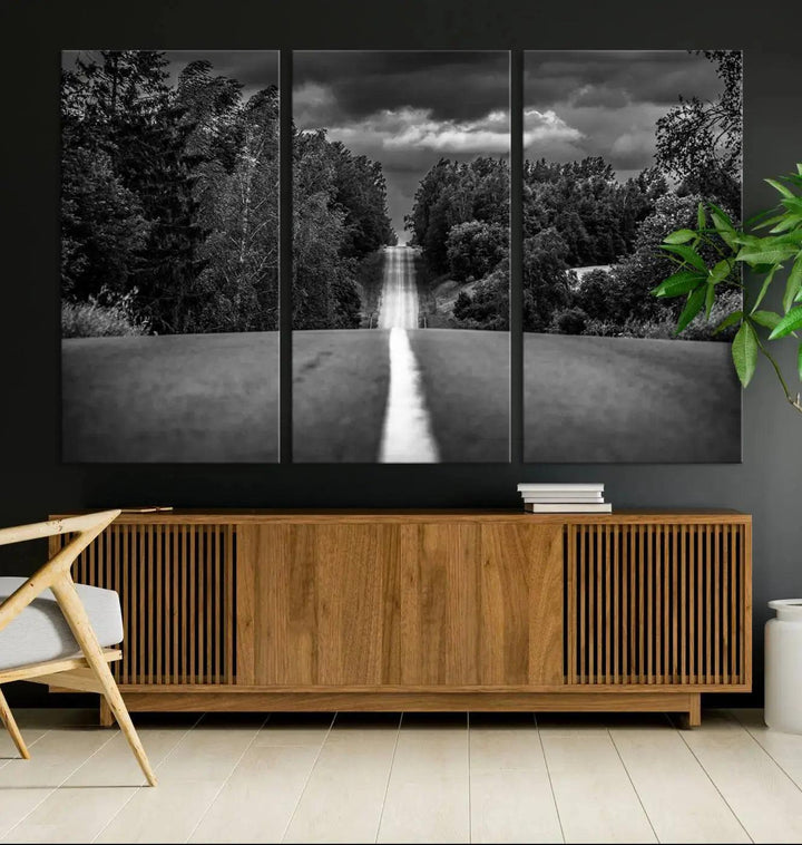 Road on the Nature Wall Art Canvas Print