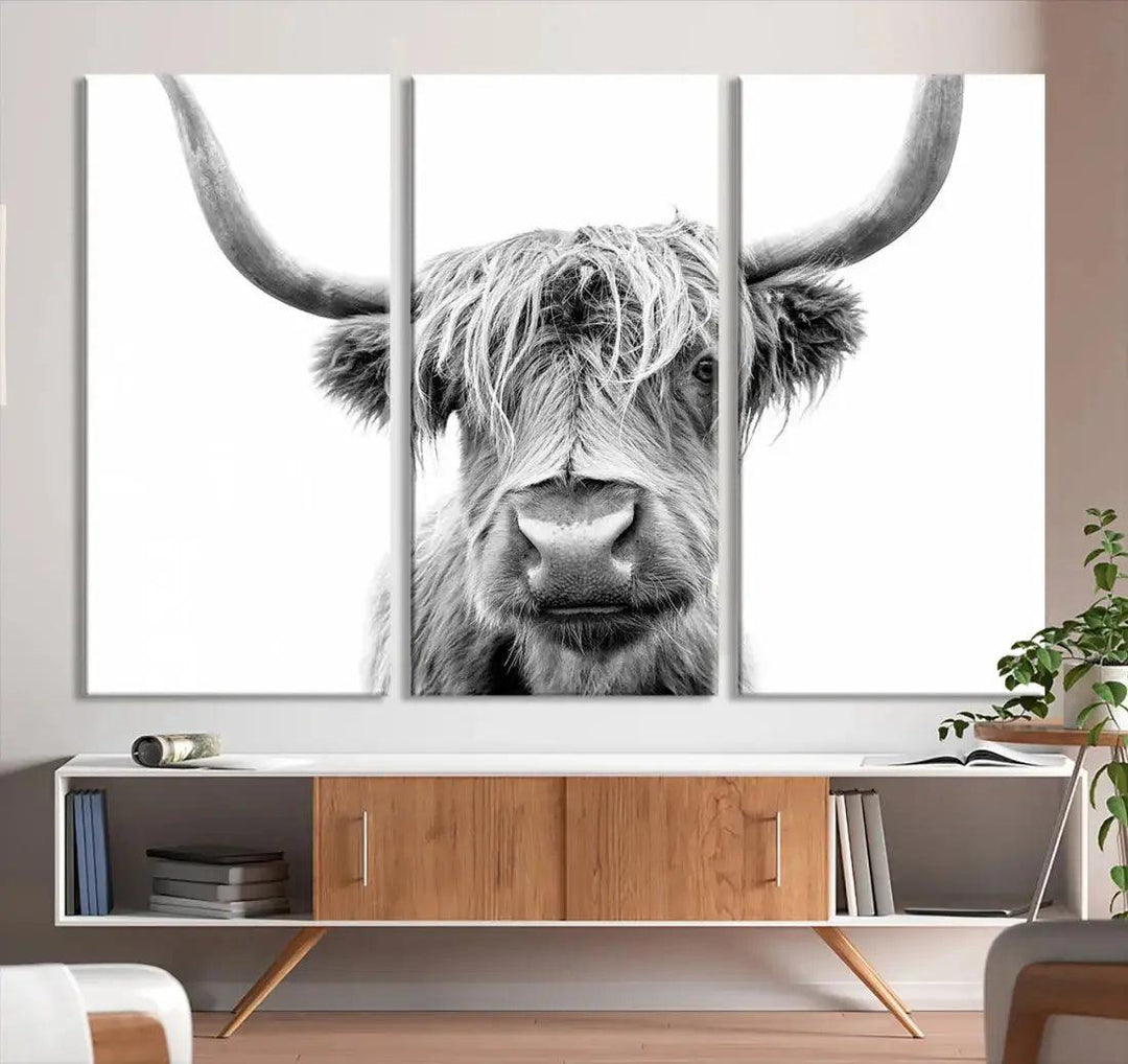 Scottish Highland Cow to Your Farmhouse with Our Wall Art Canvas Print Rustic Decor