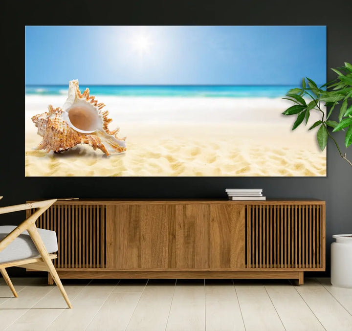 Seashell on Maldives Beach Wall Art Canvas Print Nautical Ocean Printing