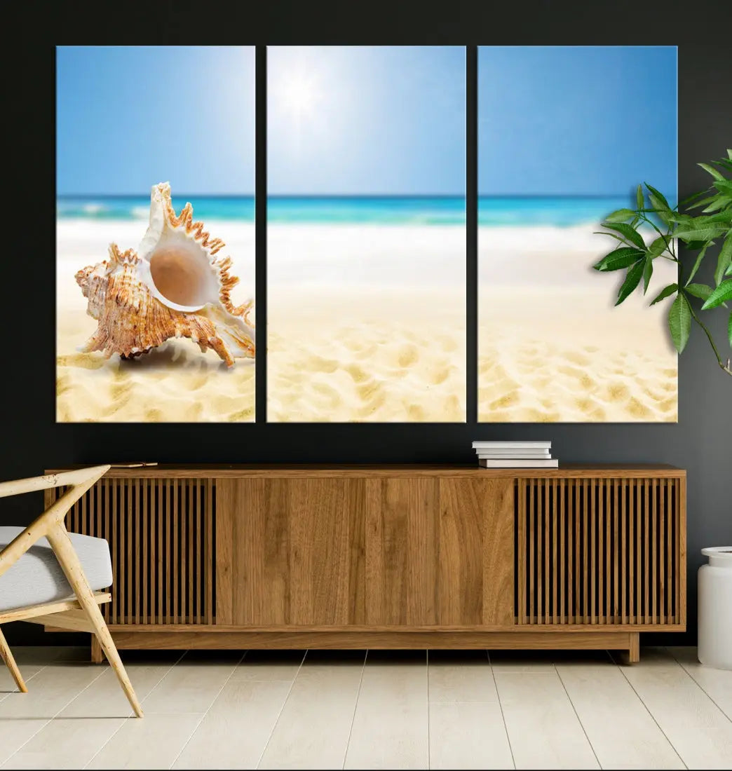 Seashell on Maldives Beach Wall Art Canvas Print Nautical Ocean Printing