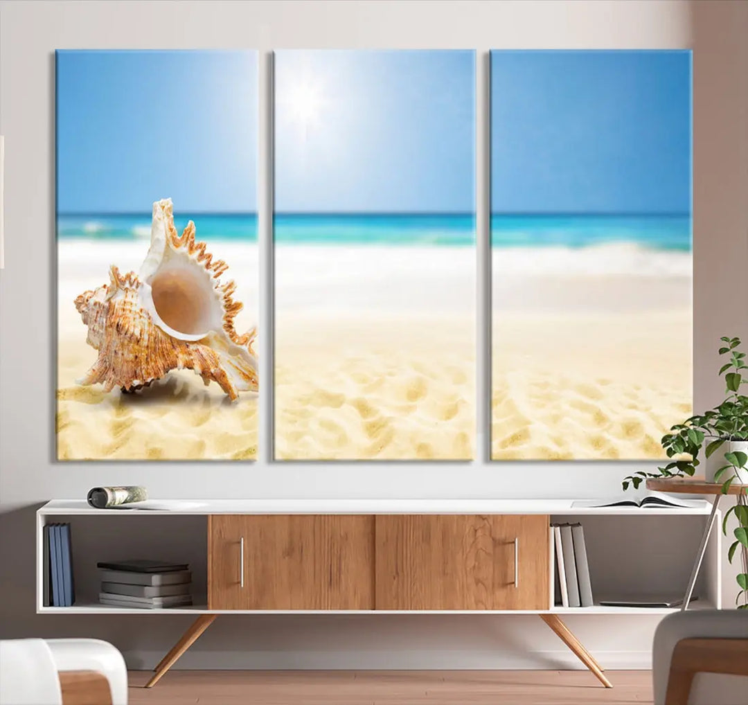 Seashell on Maldives Beach Wall Art Canvas Print Nautical Ocean Printing