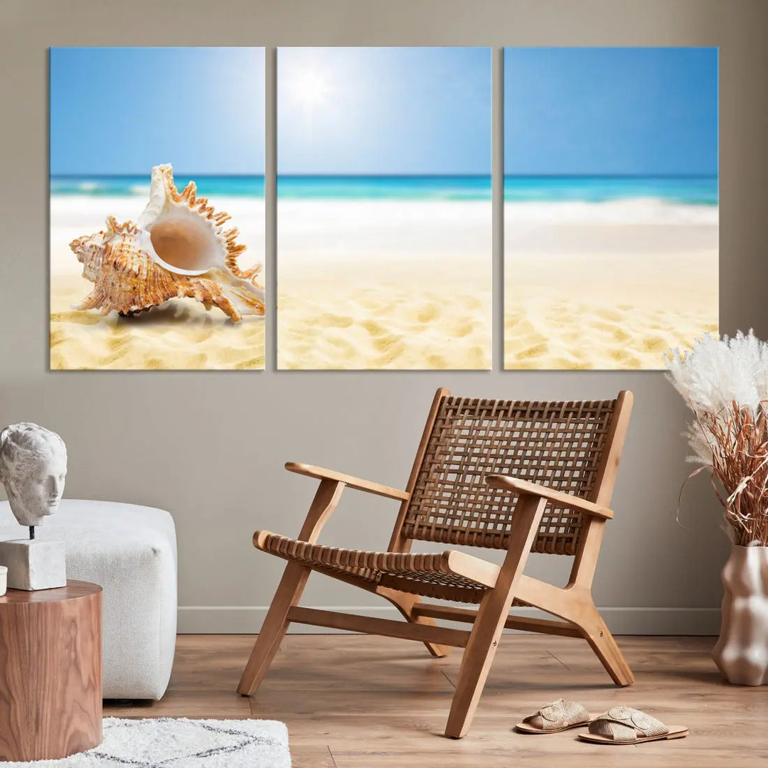 Seashell on Maldives Beach Wall Art Canvas Print Nautical Ocean Printing