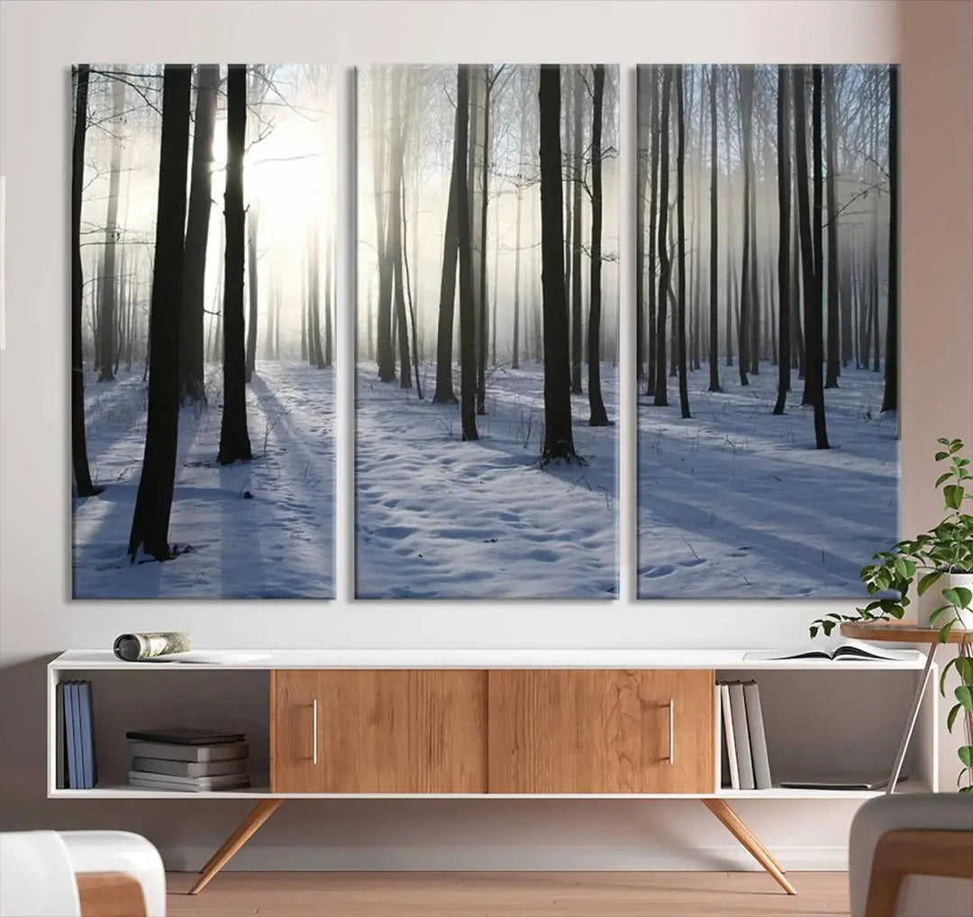 Snowy Forest with Sunshine in Winter Large Wall Art Canvas Print