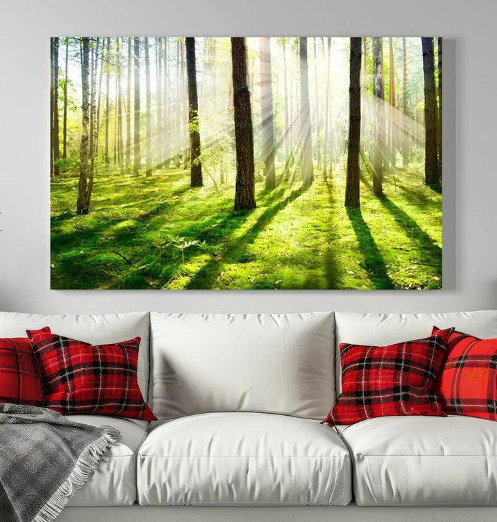 Sunlight Beams in Green Forest Large Wall Art Landscape Canvas Print