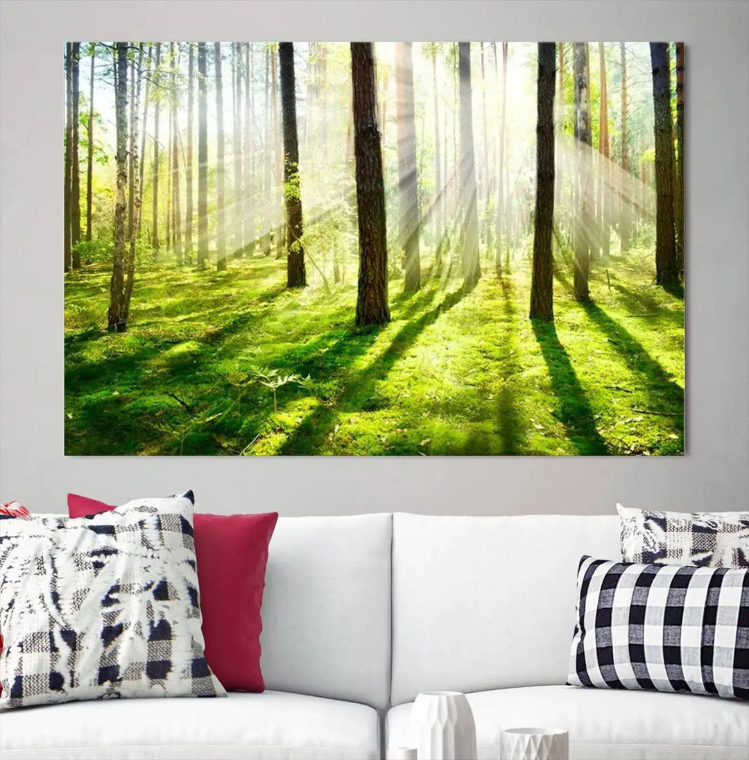 Sunlight Beams in Green Forest Large Wall Art Landscape Canvas Print