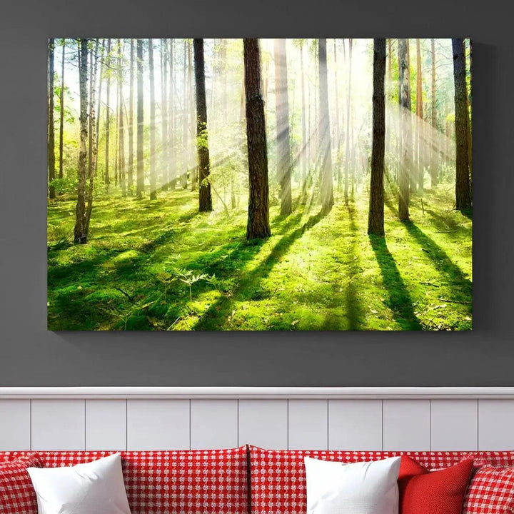 Sunlight Beams in Green Forest Large Wall Art Landscape Canvas Print