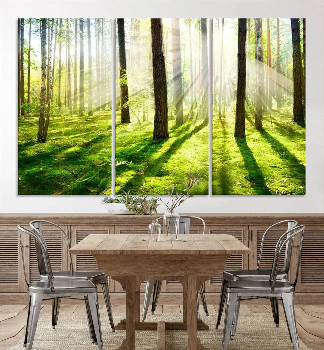 Sunlight Beams in Green Forest Large Wall Art Landscape Canvas Print