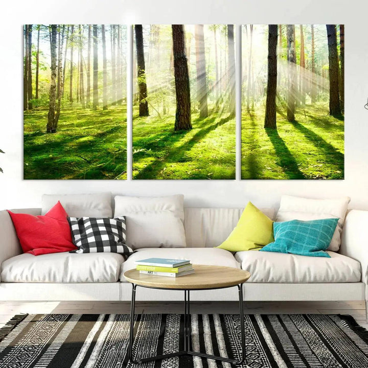 Sunlight Beams in Green Forest Large Wall Art Landscape Canvas Print